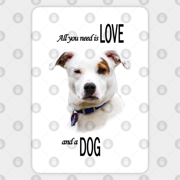 All you need is Love and a Dog Sticker by Jane Stanley Photography